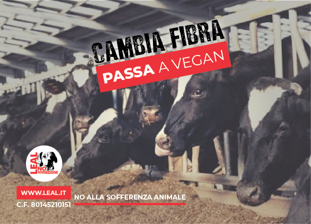 LEAL SCEGLIE VEGAN – 1 NOVEMBRE WORLD VEGAN DAY