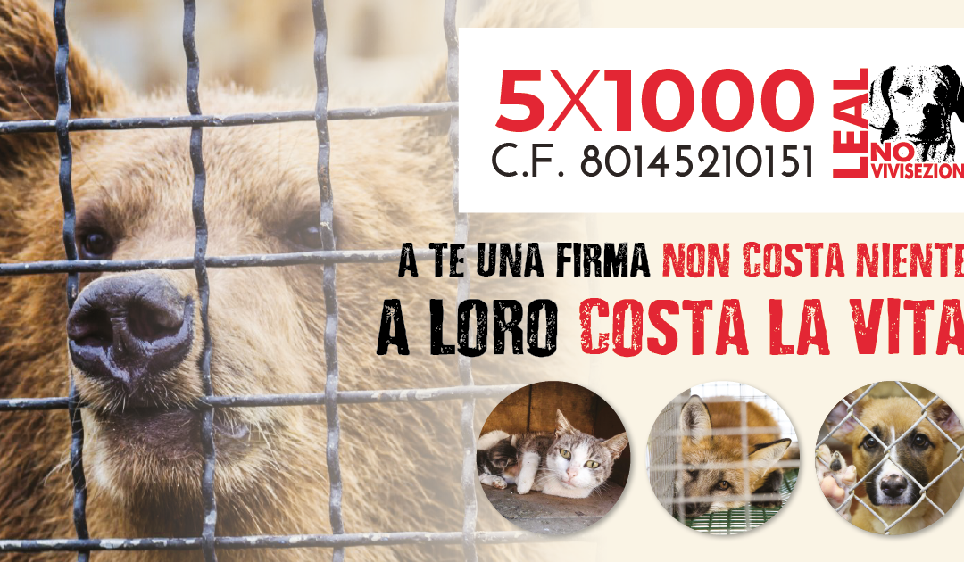 FIRMA PER DESTINARE IL TUO 5X1000 A LEAL! NOI LO GIRIAMO AGLI ANIMALI!