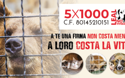 FIRMA PER DESTINARE IL TUO 5X1000 A LEAL! NOI LO GIRIAMO AGLI ANIMALI!