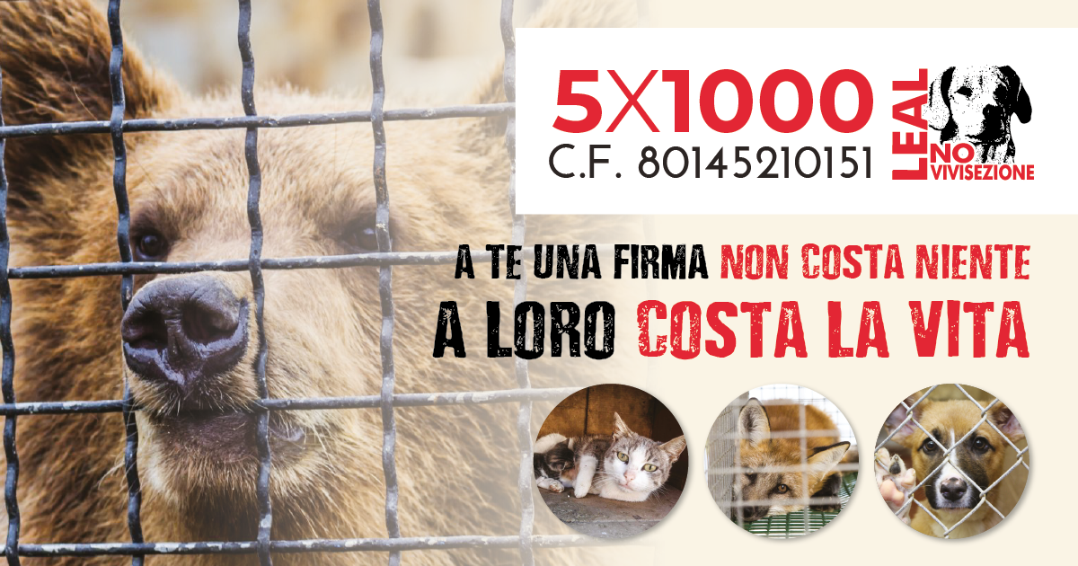 dona il tuo 5x1000 agli animali indifesi