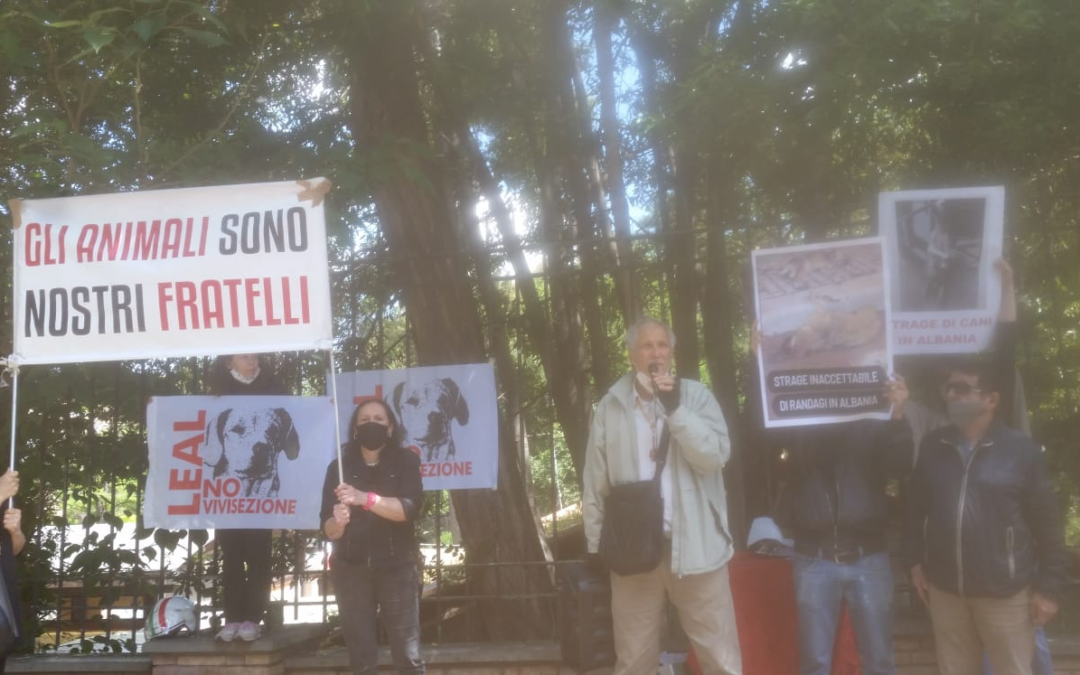 ANIMALISMO – LEAL CONSEGNA UNA LETTERA ALL’AMBASCIATORE D’ALBANIA A ROMA PER CHIEDERE CHE VENGA FERMATA LA STRAGE DI RANDAGI