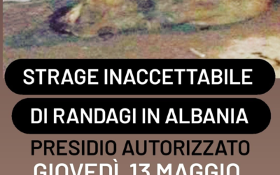 ANIMALISMO – LEAL A ROMA DAVANTI ALL’AMBASCIATA DI ALBANIA PER CHIEDERE DI FERMARE LA STRAGE DI RANDAGI