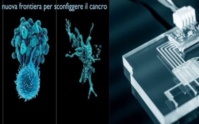 LEAL VIVISEZIONE: I SISTEMI HUMAN-BASED SU CHIP SONO I MODELLI MIGLIORI PER LA RICERCA DI CURE PER IL CANCRO