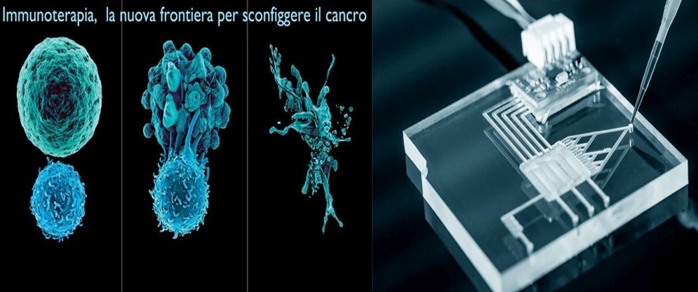 human based chip contro il cancro