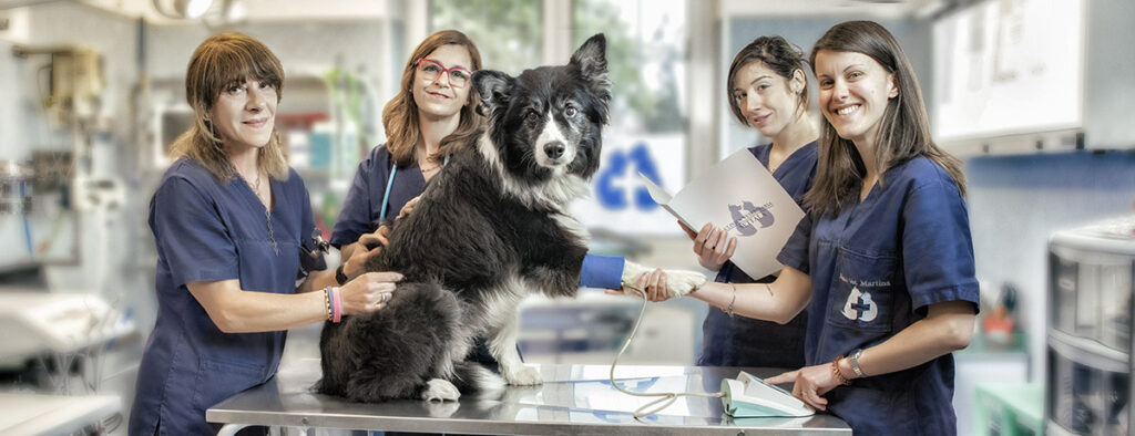 clinica veterinaria settale