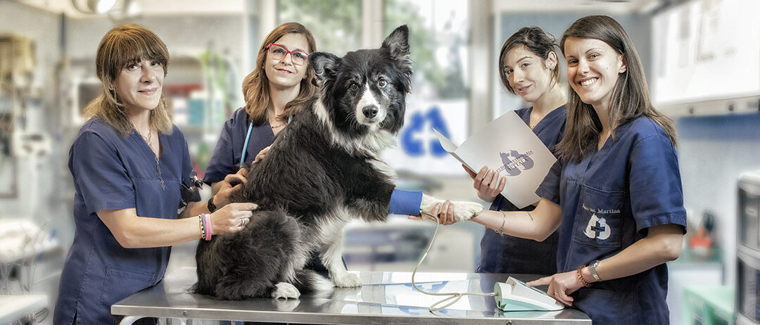 CONVENZIONE LEAL CON LA CLINICA VETERINARIA SETTALA ANCHE PER I SOCI