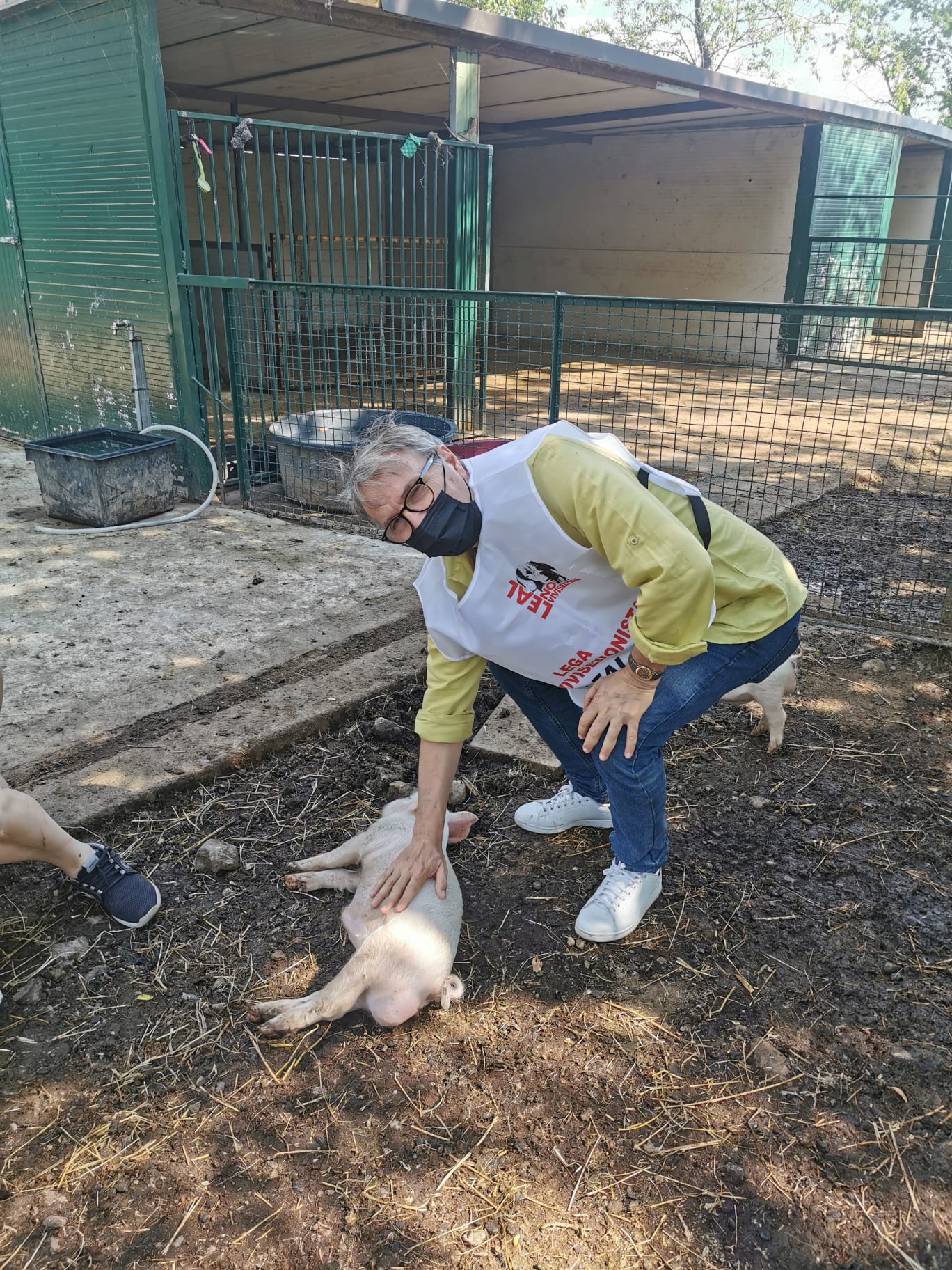 maialini keanu e patrik salvati da leal