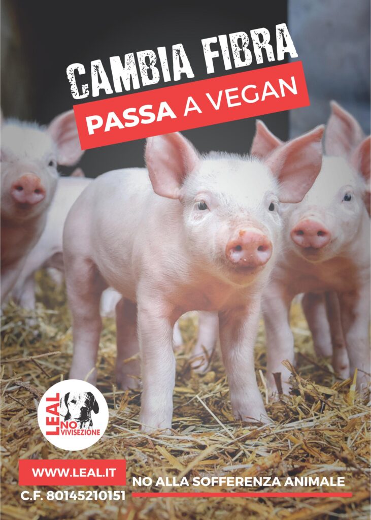 passa a vegan