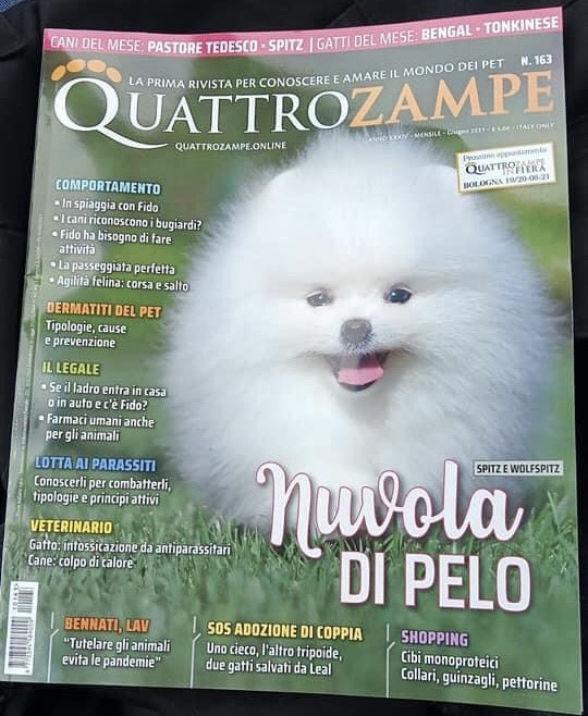 ANIMALISMO – LEAL IN EDICOLA SU QUATTROZAMPE DI GIUGNO