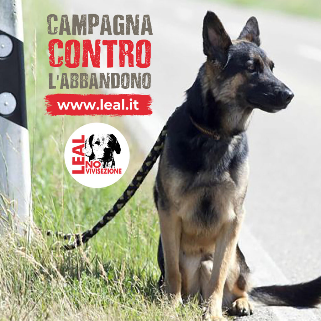 CAMPAGNA LEAL CONTRO L'ABBANDONO