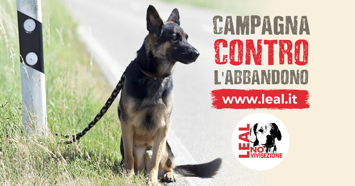 CAMPAGNA LEAL CONTRO L'ABBANDONO