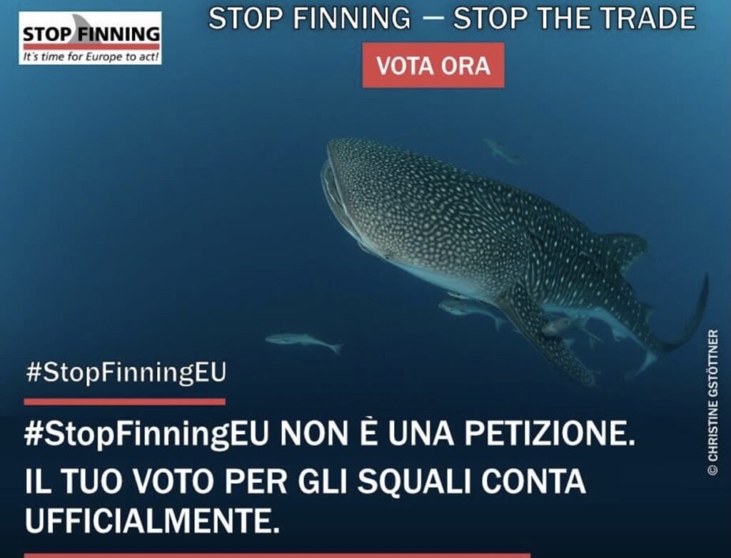 LEAL PARTECIPA E SOSTIENE LA CAMPAGNA “STOP THE FINNING - STOP THE TRADE”