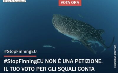 ANIMALISMO – LEAL PARTECIPA E SOSTIENE LA CAMPAGNA “STOP THE FINNING – STOP THE TRADE”