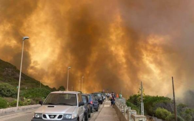 CROCE A QUATTROZAMPE DI LEAL E L’INFERNO DI FUOCO IN SARDEGNA: AIUTI A VETERINARI E VOLONTARI