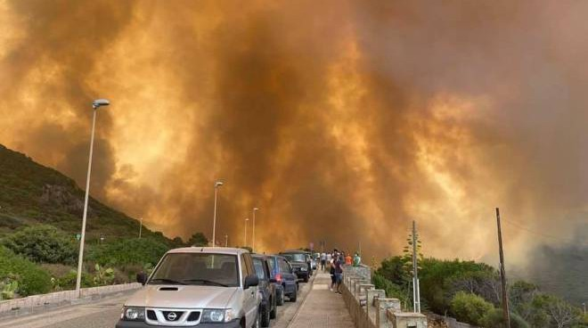 CROCE A QUATTROZAMPE DI LEAL E L’INFERNO DI FUOCO IN SARDEGNA: AIUTI A VETERINARI E VOLONTARI