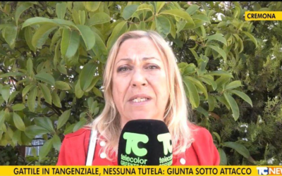 LEAL ANIMALISMO – VIDEO INTERVISTA – GATTILE IN TANGENZIALE A CREMONA, LEAL SEZIONE DI CREMONA SI OPPONE