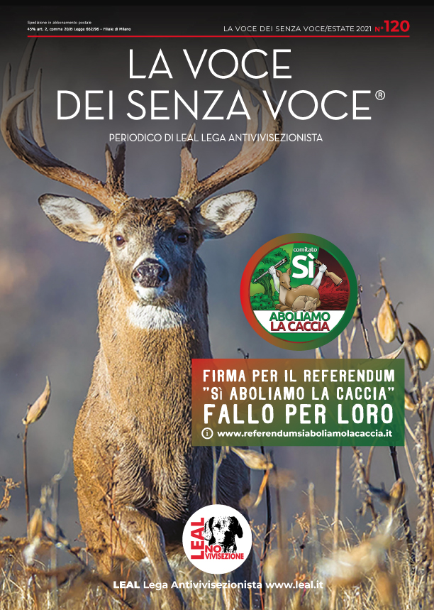 rivista leal numero 120 la voce dei senza voce