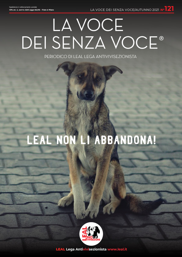 rivista la voce dei senza voce 121