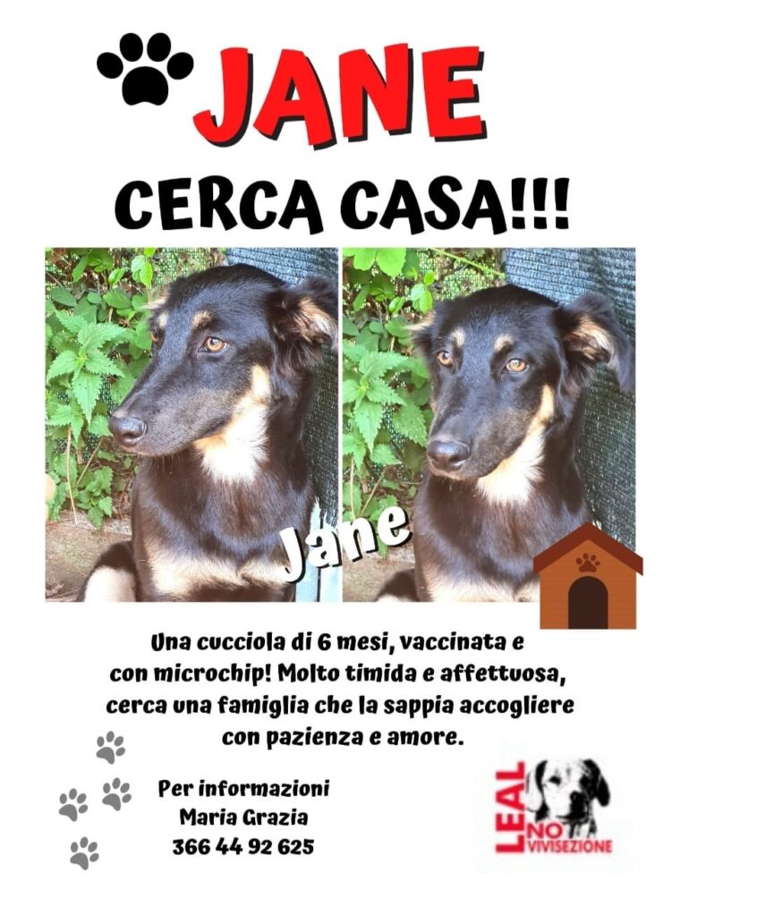 jane leal viareggio cerca casa