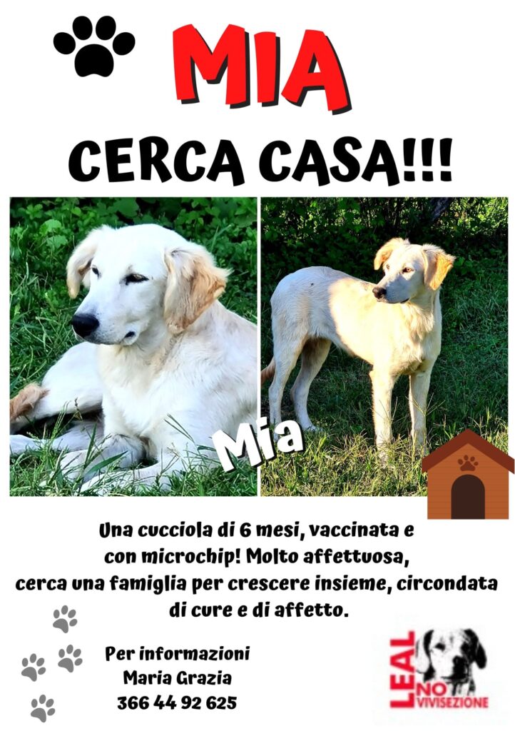 mia leal viareggio cerca casa