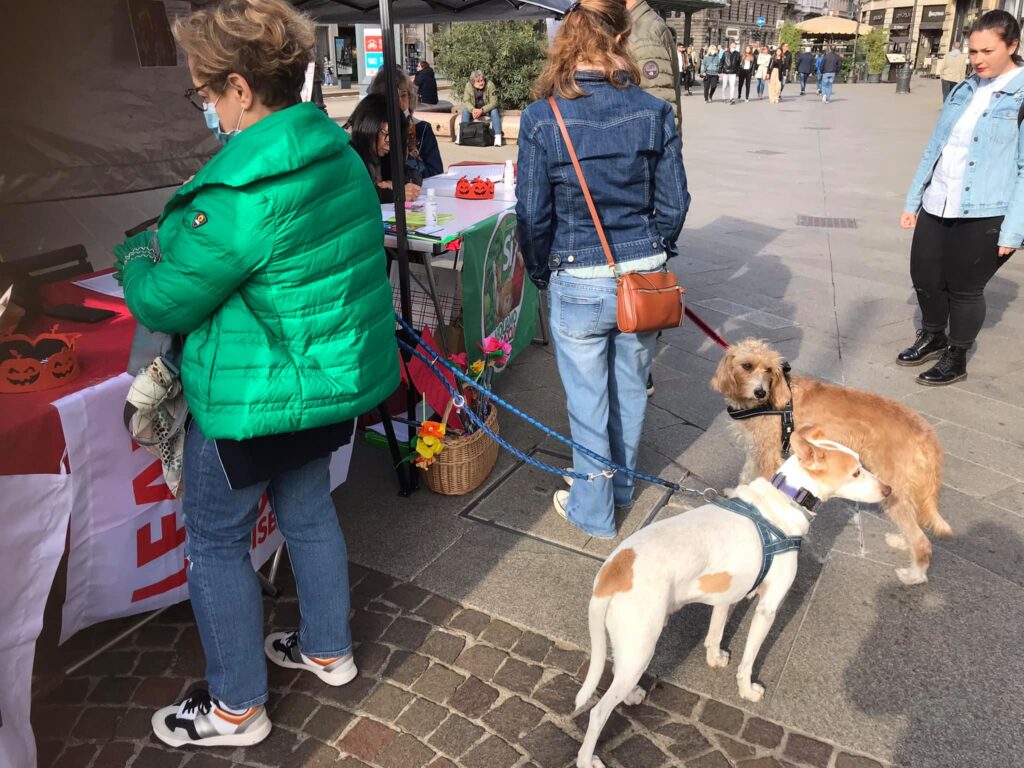 10 OTTOBRE: MILANO FIRMA DAY ABOLIZIONE CACCIA