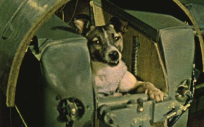 3 NOVEMBRE 1957 MORIVA LAIKA LANCIATA NELLO SPAZIO. FU UN ESPERIMENTO