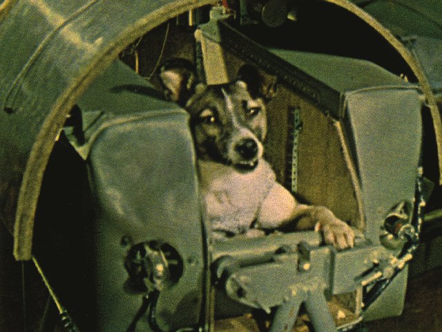 3 NOVEMBRE 1957 MORIVA LAIKA LANCIATA NELLO SPAZIO. FU UN ESPERIMENTO