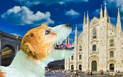 MILANO VIETA I BOTTI A CAPODANNO A TUTELA DI ANIMALI E AMBIENTE