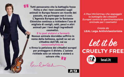 LEAL: PAUL MC CARTNEY TESTIMONIAL DELLA CAMPAGNA SAVE CRUELTY FREE COSMETICS