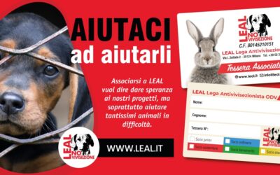 LEAL CAMPAGNA ASSOCIATIVA: LA NOSTRA TESSERA FA BENE AGLI ANIMALI! RINNOVA LA TESSERA O ASSOCIATI A LEAL SE ANCORA NON LO HAI FATTO!