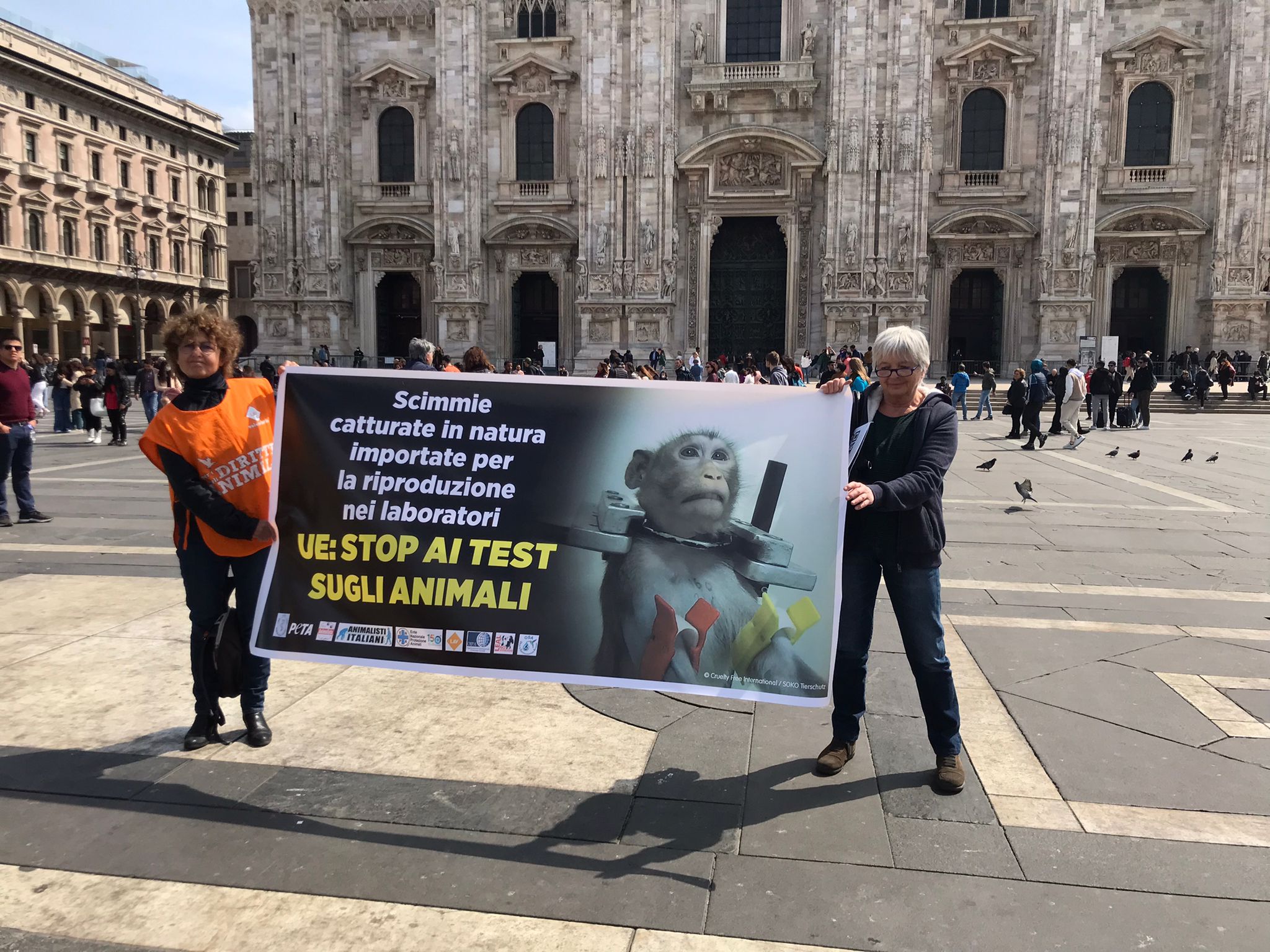 LEAL PER SAVE CRUELTY FREE PARTECIPA AL FLASH MOB IN PIAZZA A TORINO