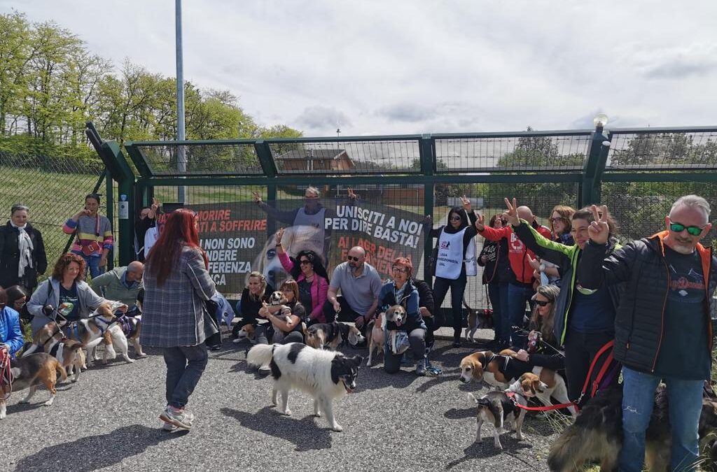 24 APRILE GIORNATA MONDIALE DEGLI ANIMALI DA LABORATORIO: LEAL COMMEMORA LA GIORNATA A MONTICHIARI DAVANTI A GREEN HILL