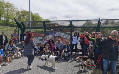 24 APRILE GIORNATA MONDIALE DEGLI ANIMALI DA LABORATORIO: LEAL COMMEMORA LA GIORNATA A MONTICHIARI DAVANTI A GREEN HILL