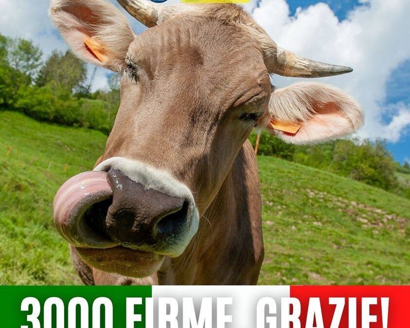 END THE SLAUGHTER AGE: L’INIZIATIVA DEI CITTADINI EUROPEI HA SUPERATO LE 3.000 FIRME!