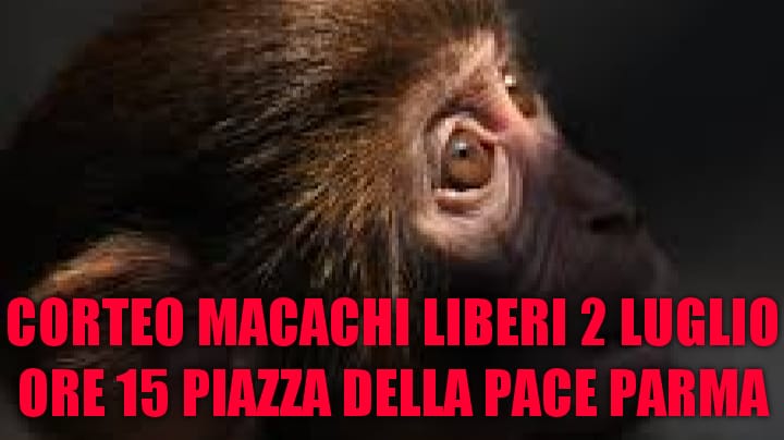 LEAL SOSTIENE CORTEO MACACHI LIBERI, 2 LUGLIO 2022 ORE 15 PIAZZA DELLA PACE PARMA.