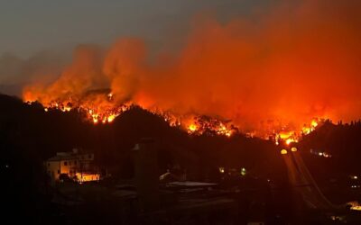 EMERGENZA INCENDI IN VERSILIA SULLE COLLINE DI MASSAROSA: LEAL SI ATTIVA SUL TERRITORIO