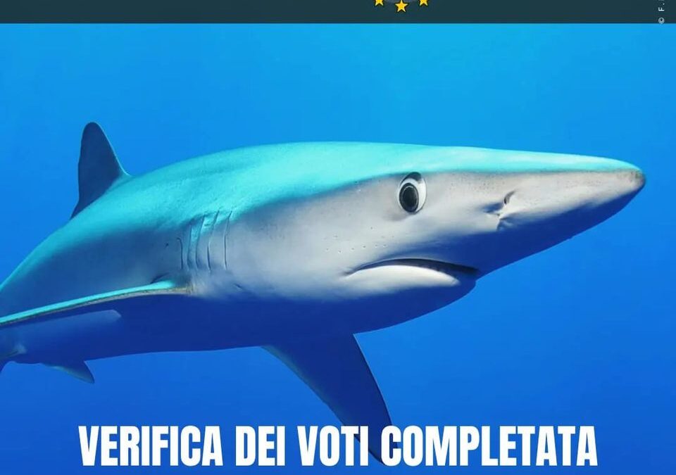 LEAL SUPPORTER DI STOP FINNING: “CE L’ABBIAMO FATTA! ABBIAMO RAGGIUNTO 1.119.996 VOTI VALIDI!”