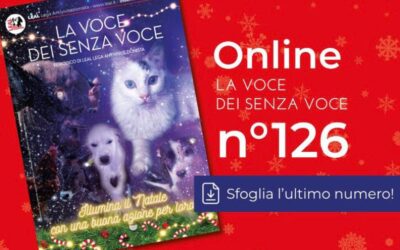 È ONLINE L’ULTIMO NUMERO DI “LA VOCE DEI SENZA VOCE”