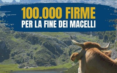 LEAL È VEGAN E SUPPORTER DI END THE SLAUGHTER AGE”. ABBIAMO SUPERATO LE 100.000 FIRME PER LA FINE DEI MACELLI!