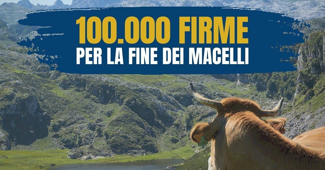 LEAL È VEGAN E SUPPORTER DI END THE SLAUGHTER AGE”. ABBIAMO SUPERATO LE 100.000 FIRME PER LA FINE DEI MACELLI!