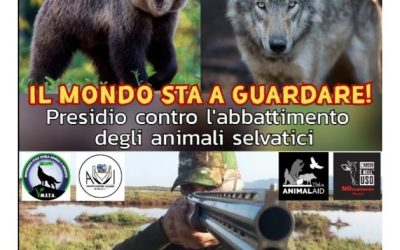 IL MONDO STA A GUARDARE! ROMA 21 GENNAIO 2023 PRESIDIO ANIMALISTA CON LA PARTECIPAZIONE DI LEAL