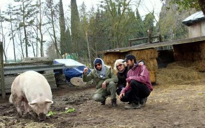 OGGI LEAL FESTEGGIA 8 ANNI DALL’INIZIO DELLA CHIUSURA DELLO ZOO DI CAVRIGLIA E 8 ANNI DALLA LIBERAZIONE DEL MAIALE “CARA”