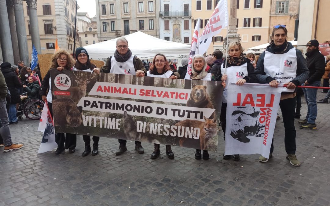 LEAL AL PRESIDIO NAZIONALE DI ROMA PER DIRE NO ALLA GUERRA CONTRO LA FAUNA SELVATICA!