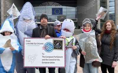 “STOP FINNING – STOP THE TRADE” CONSEGNATE OGGI 11 GENNAIO 2023 LE FIRME A BRUXELLES. LEAL PARTNER E SOSTENITORE DEL PROGETTO