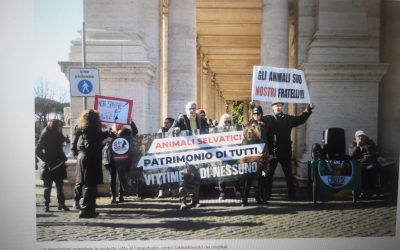 ROMA SELVATICI IN CITTÀ: LEAL IN PRESIDIO DAVANTI AL CAMPIDOGLIO. INCONTRO CON I DIRIGENTI DEL COMUNE