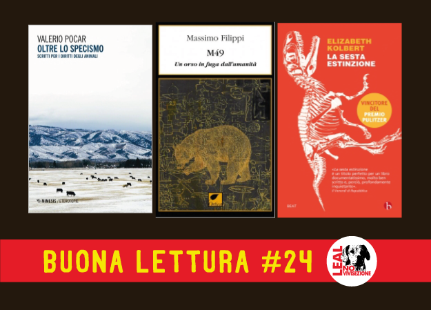 Buona lettura #24