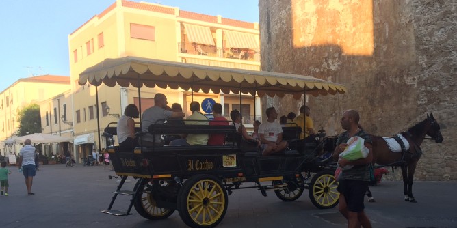 CARROZZE TRAINATE DAI CAVALLI A PALERMO. LEAL CON LE ASSOCIAZIONI ANIMALISTE DI PALERMO NON CI STA! UNO SFRUTTAMENTO ESTREMO AGGRAVATO DAL CALDO TORRIDO