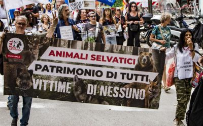 LEAL: LE FOTO DEL CORTEO NAZIONALE A TRENTO PER PROTESTARE CONTRO LA CACCIA E L’UCCISIONE E CATTURA DI ORSI E LUPI