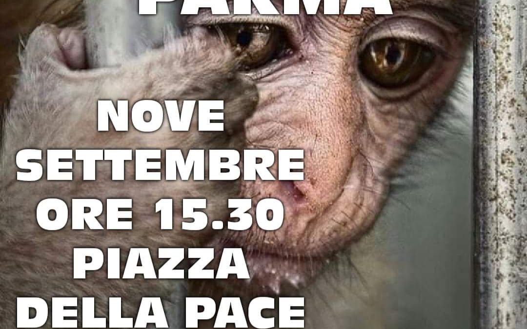 LEAL INFORMA: PARMA 9 SETTEMBRE CORTEO PER I MACACHI ORE 15.30 PIAZZA DELLA PACE