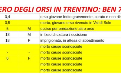 ORSI TRENTINI. RINVENUTI ALTRI DUE ORSI MORTI. LEAL DEPOSITIAMO ACCESSO AGLI ATTI E CHIEDIAMO DI ESSERE PRESENTI DURANTE GLI ESAMI AUTOPTICI